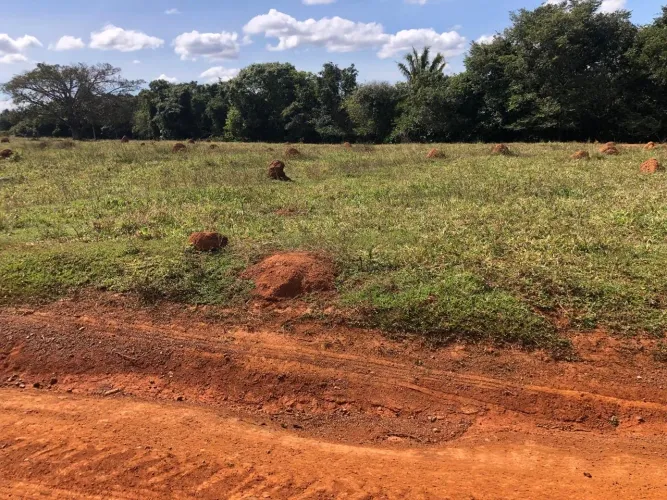 Fazenda de 35 alqueires