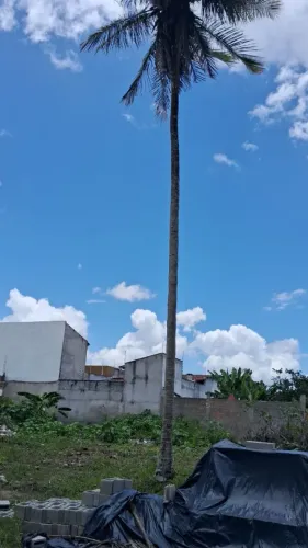Vendo(79mil) ou troco (85mil) terreno 
