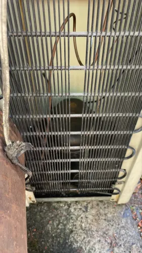 Bebedouro a gás 110v