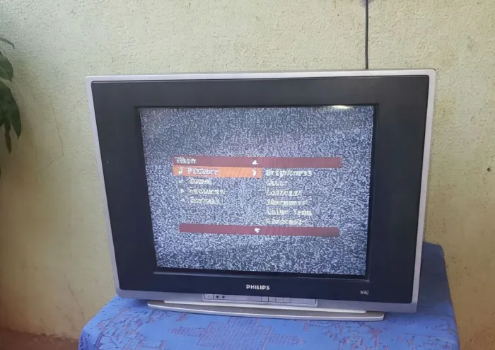 Tv Tela de Tubo funcionando perfeitamente (SEM CONTROLE REMOTO)