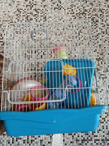 Gaiolas para roendo