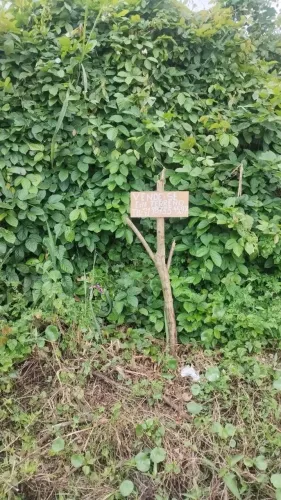 Terreno esquina de rua