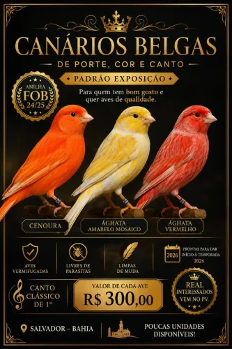 Gaiolas selecionadas Fob
