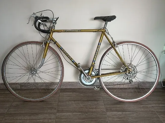 Bicicleta Monark Positron 10 - TODA ORIGINAL