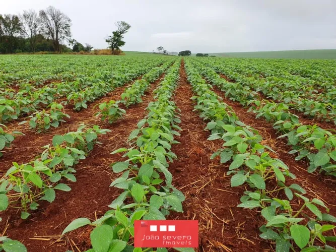 Fazenda para Venda em Goioerê