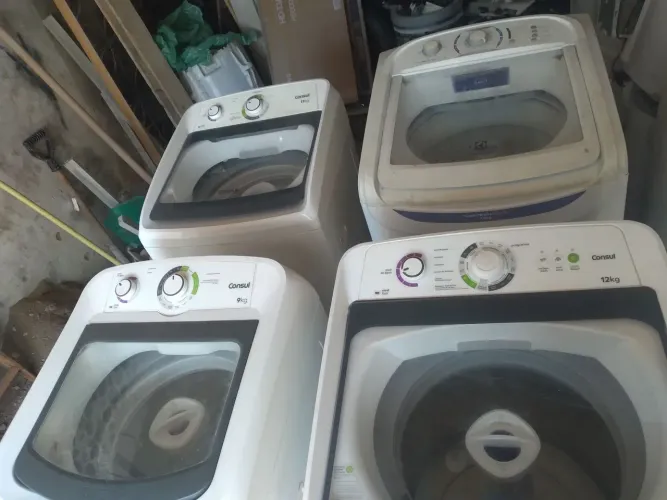 Domesticos