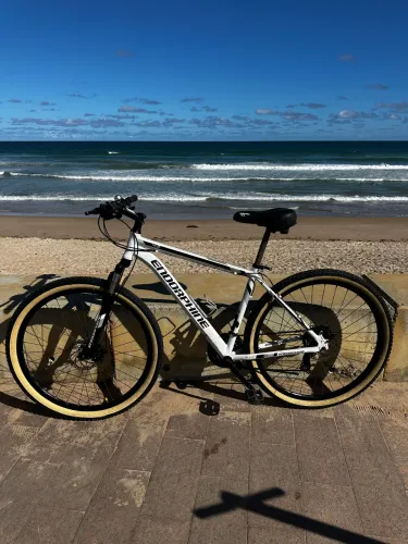 Bicicleta aro 29