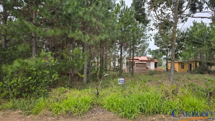 Terreno Torres sul