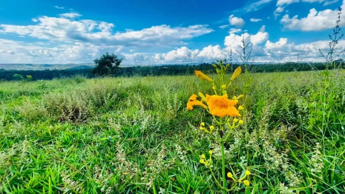 Super Lançamento em Santa Luzia de Terrenos 20.000m2 com Parcelas de 2.220,00