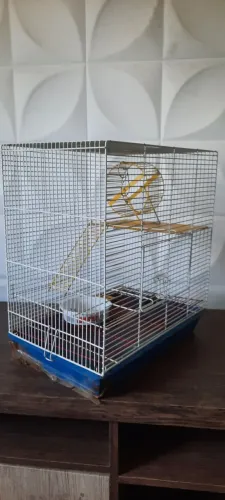 Gaiola