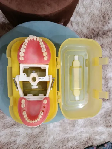 Manequim Articulado PRONEW 