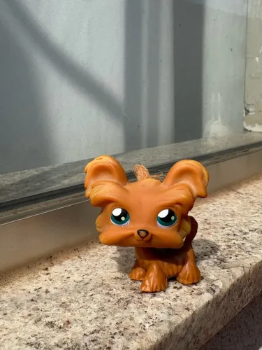 Shitzu/ Littlest Pet Shop