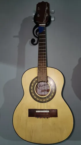 Vendo ou troco,Cavaco cavaquinho Rozini elétrico $400