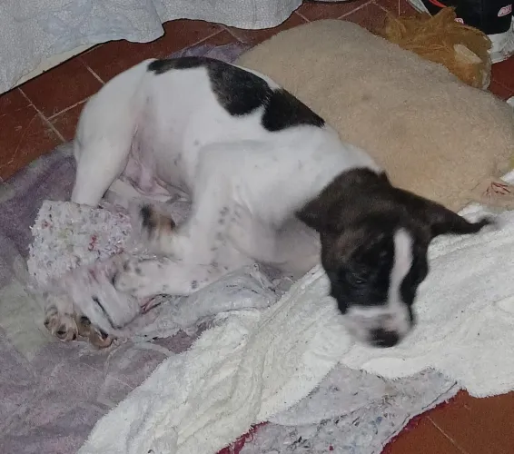 Doação