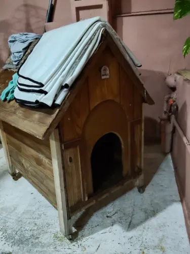 Casa de cachorro de madeira