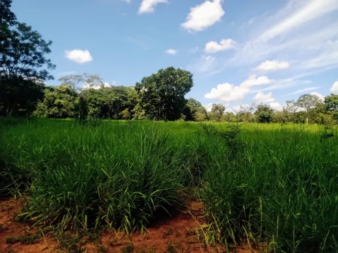 Fazenda dupla em Paracatu Minas Gerais