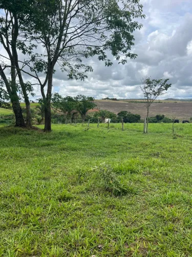 A venda linda fazenda