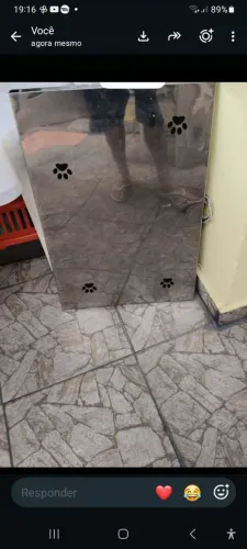 Balança digital para petshop