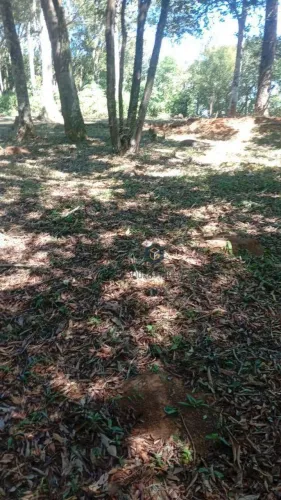 Terreno Condomínio Estância Oropó à venda, 5000 m² - Vila Moraes - Mogi das Cruzes/SP