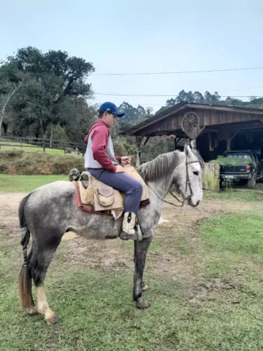 Vendo cavalo marchador
