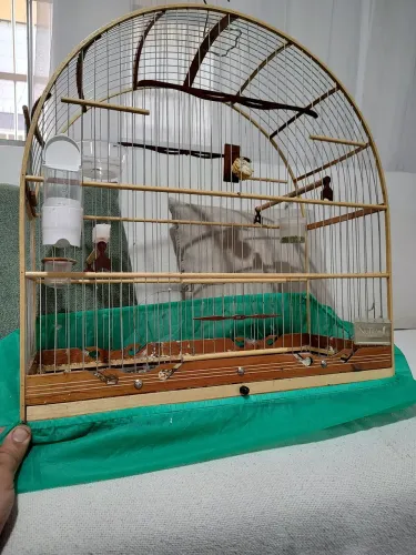 Gaiola