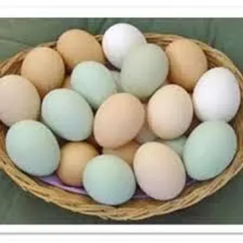Ovos caipira