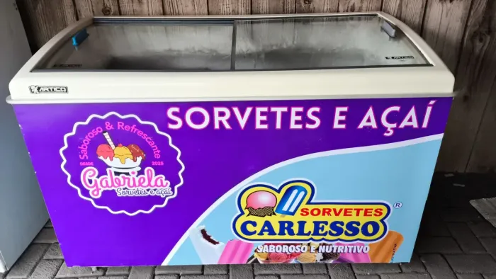Freezer horizontal
