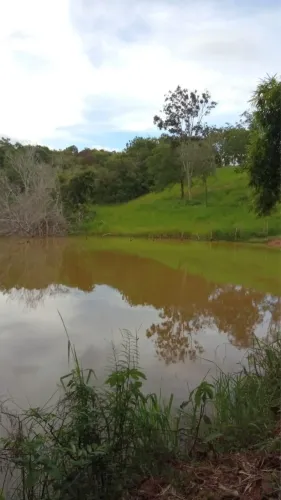 Fazenda em catalão pecuária