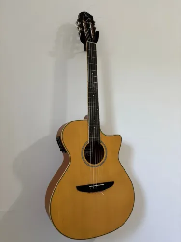 Violão Nylon Elétrico, Tagima TW 27  semi-novo