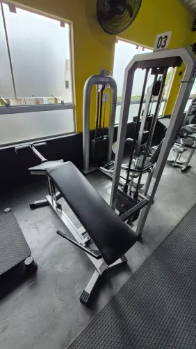 Mesa Flexora musculação