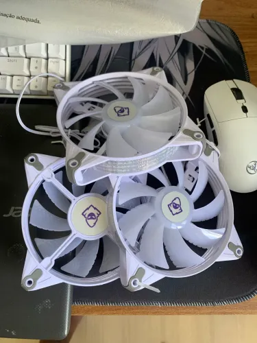 FANS PICHAU 