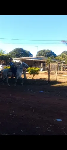 Eguinha marcha picada esquipadeira!!
