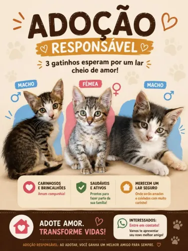 Doação de Gatos