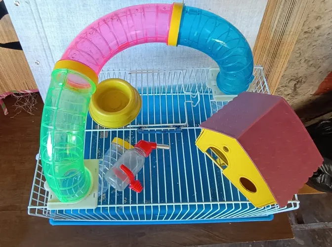gaiola hamster