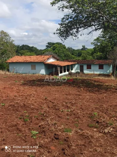 FAZENDA BATEDOR EM SAO FRANCISCO DE GOIAS