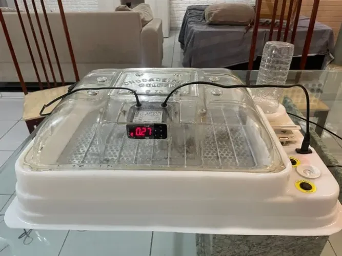 Chocadeira Automática + Pinteiro + Comedouro e Bebedouro PVC