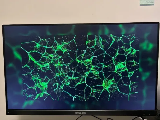 Monitor Asus VP249QGR Full HD 144hz