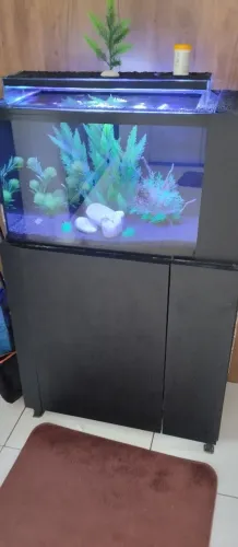 Aquário marinho / Doce 85 litros com sump , completo