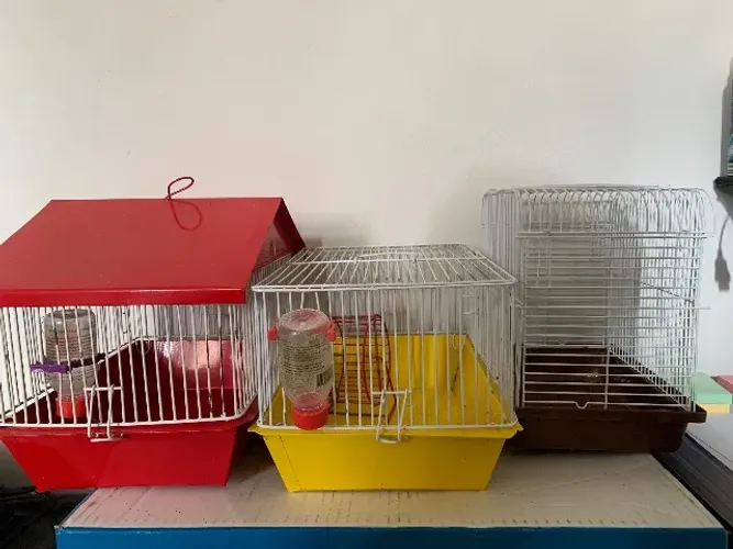 Gaiola de Hamster (negociável) 