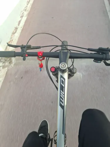 BIKE ARO 29 ABSOLUTE MTB