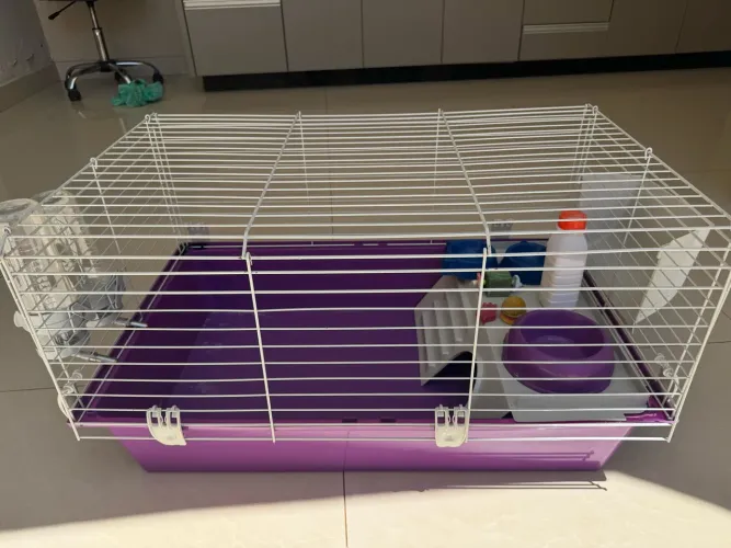  Vendo gaiola espaçosa para hamster ou porquinho-da-índia!