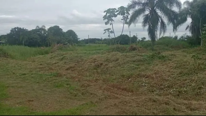 VENDO TERRENO NA PRAIA ILHA COMPRIDA LITORAL SUL