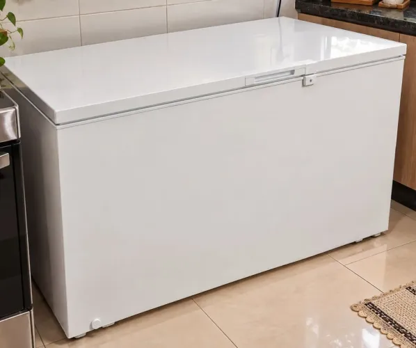Frezer 1 porta 299lts
