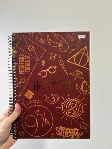 2 cadernos Harry Potter