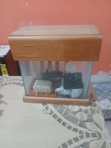 Aquário