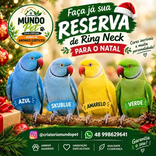 Reservas de natal ( pets)