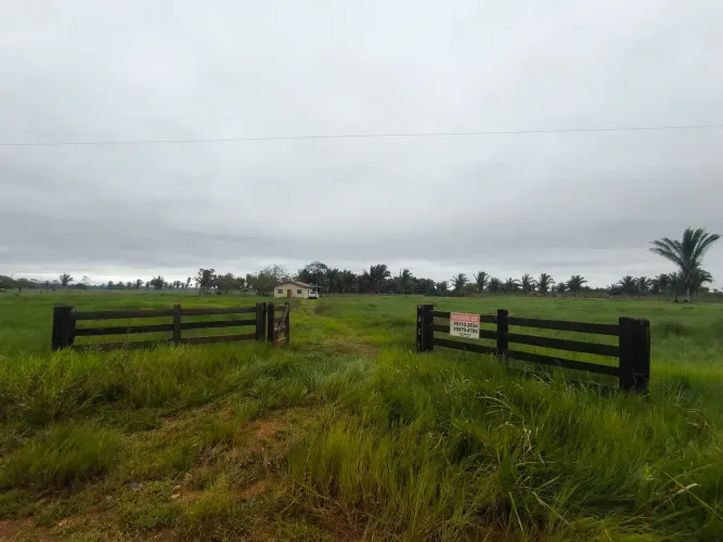 Vendo Chácara 29 hectare na Linha São Pedro a Próximo de Itapuã do Oeste.