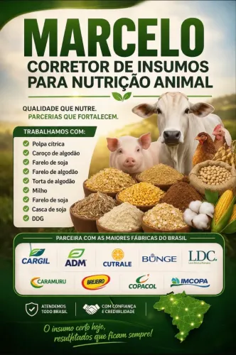 Insumos para Nutrição animal