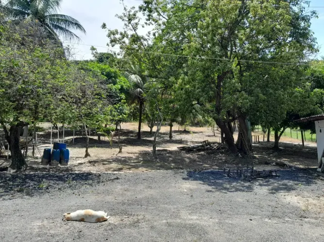 Atenção! Chácara à Venda na Barra de São Miguel próximo ao Chácaras da Barra Alagoas