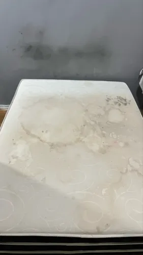 ? Cama box casal , firme, com marcas de uso. Preço baixo! PARA SAIR LOGO!!